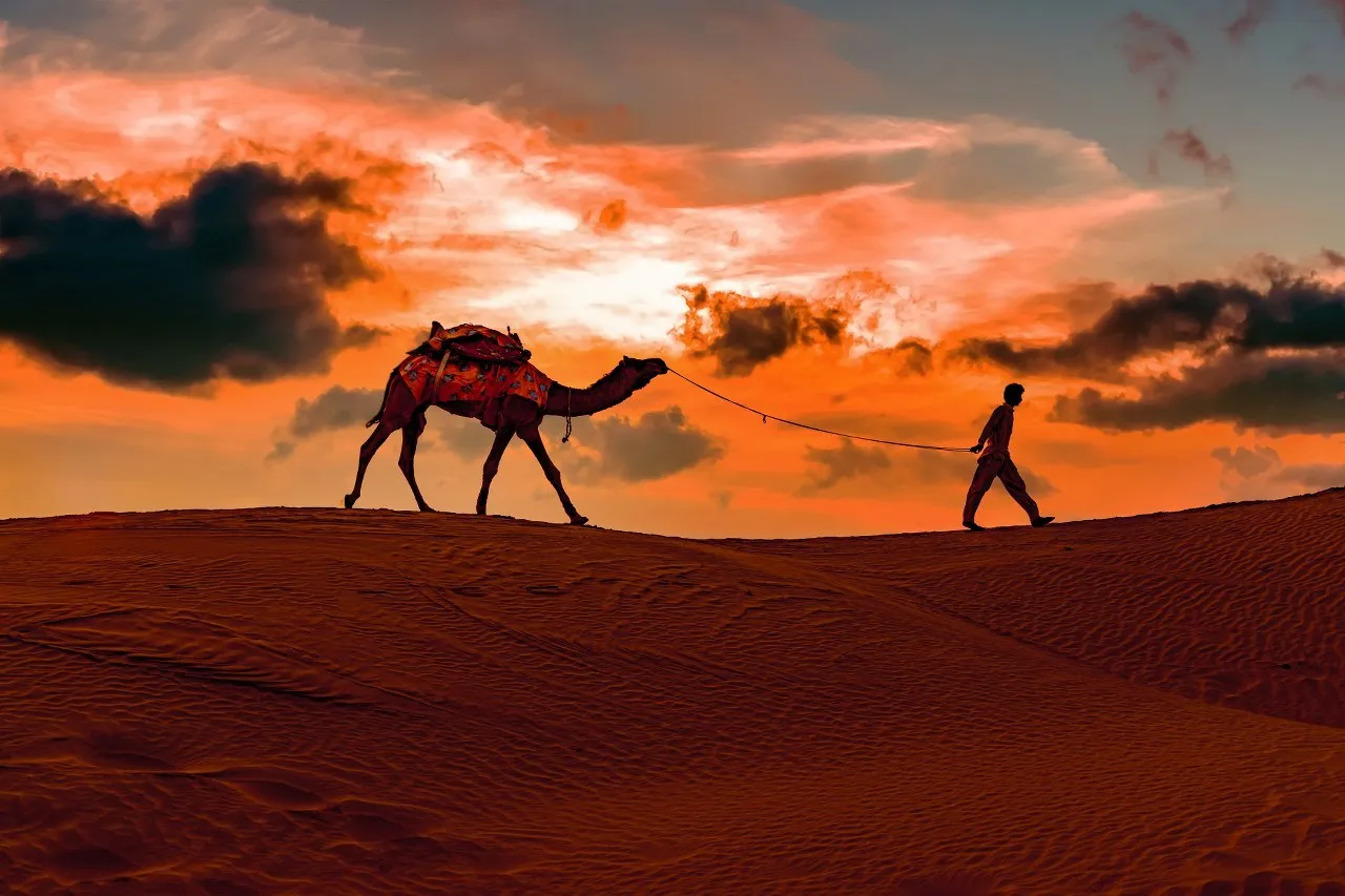 Camel safari on the sand dunes of Jaisalmer